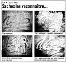 16873_il_y_a_tag_et_tag.jpg: 786x730, 290k (2017-12-25 16:14) 16873_il_y_a_tag_et_tag.jpg: 786x730, 290k (2017-12-25 16:14)