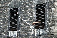 20085_yoyo_nouvel_obs.jpg: 800x535, 495k (2018-08-14 02:45) 20085_yoyo_nouvel_obs.jpg: 800x535, 495k (2018-08-14 02:45)