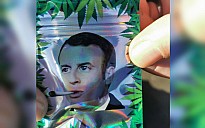 81369_pochon_herbe_macron.jpg: 932x582, 63k (2021-01-12 22:40) 81369_pochon_herbe_macron.jpg: 932x582, 63k (2021-01-12 22:40)