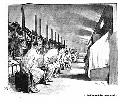 86831-su-l-bahut-les-hommes-illustration-1895.jpeg: 984x824, 198k (2024-09-08 05:30)